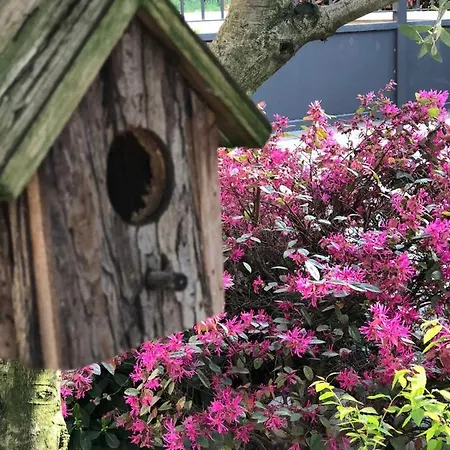 カントリーハウス Residenza Airone