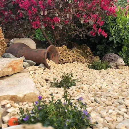 Country house Residenza Airone